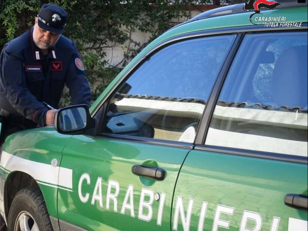carabinieri forestali • TUTTIGIORNI